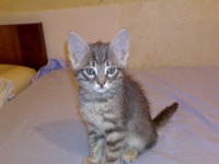 DSC00470.JPG