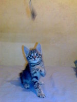 DSC00487.JPG