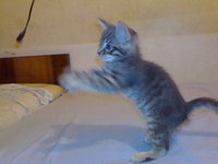 DSC00494.JPG